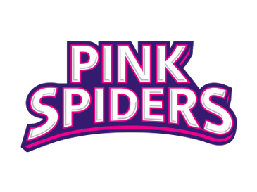 Daftar Pemain Voli Pink Spider Korean V-League