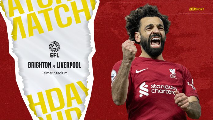 Link nonton Brighton & Hove Albion vs Liverpool